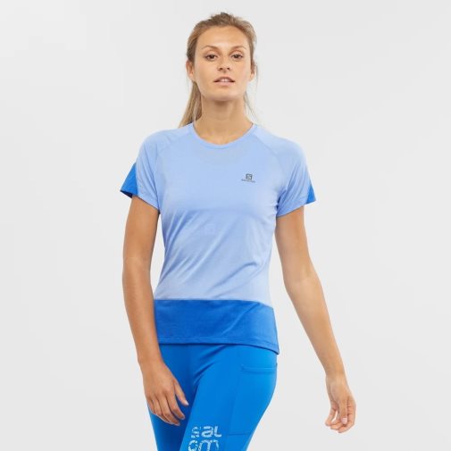 Camiseta Salomon Cross Run Corta Sleeve Mujer Azules | MX XSIE341